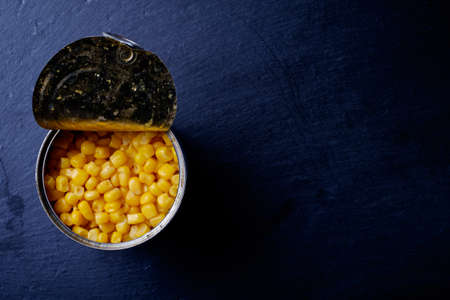 Delicious, fresh corn is removed on a blackboard in the studio.の写真素材