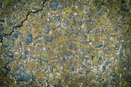 Old concrete poured into the 50's, backgroundの写真素材