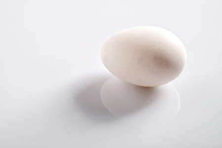 White egg on a white background shot in studioの写真素材