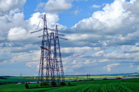 Summer Landscape grass sky background. Siberian landscapeの写真素材