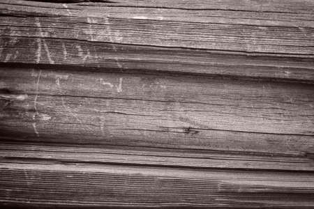 texture of bark wood use as natural backgroundの写真素材