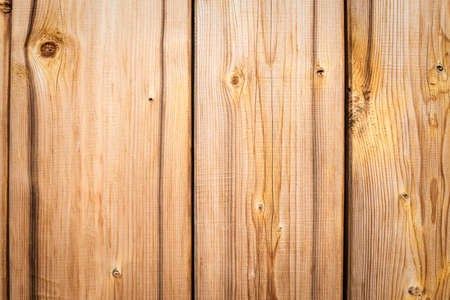 texture of bark wood use as natural backgroundの写真素材