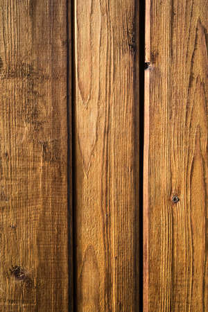 texture of bark wood use as natural backgroundの写真素材