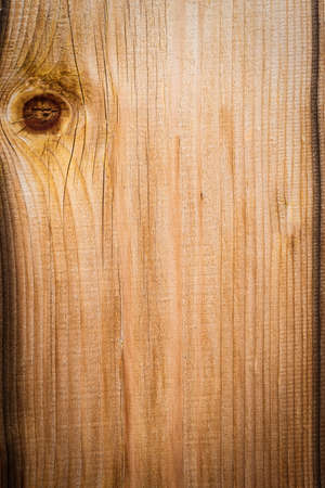 texture of bark wood use as natural backgroundの写真素材