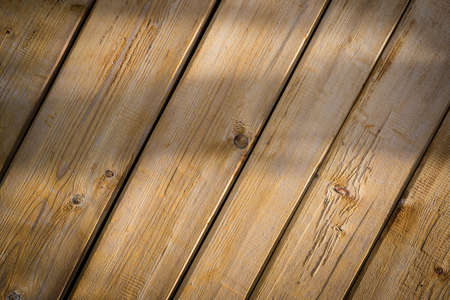 texture of bark wood use as natural background