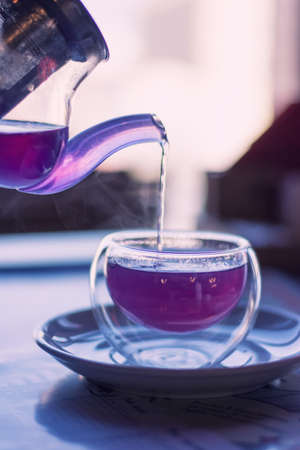 Tea purpleの写真素材
