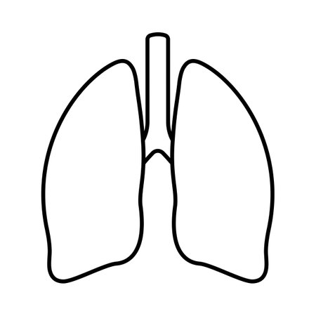 lungs icon. linear style icon isolated on white background. vector illustration.のイラスト素材