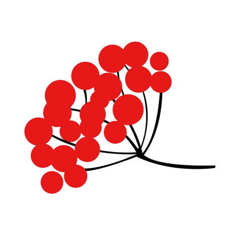 vector illustration. Guelder rose isolated on white background.のイラスト素材