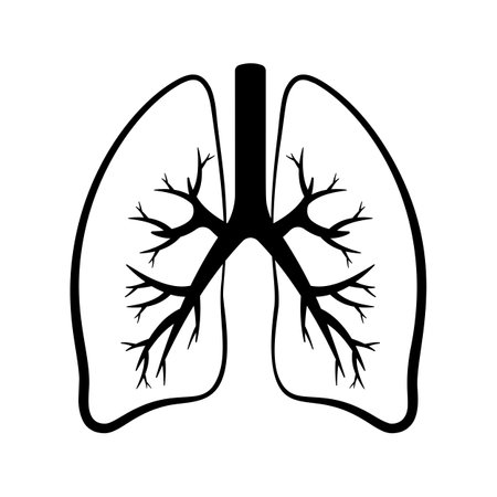 vector illustration. lungs icon isolated on white background.のイラスト素材