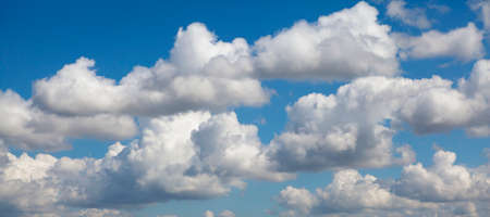 Cumulus clouds in the sky. For Background and Layerの写真素材