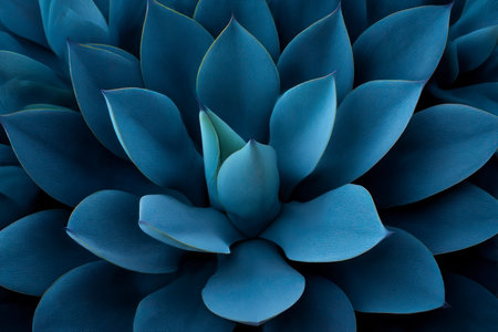 Blue succulent plant close-up. Natural background for design and decoration.の素材