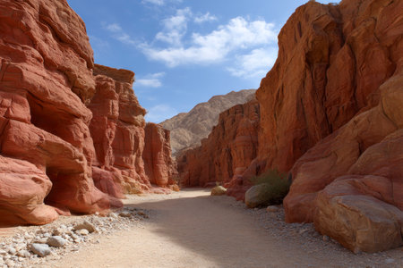 View of the Red Rock Canyon in the Negev Desert in Israelの素材