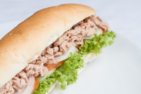 tuna sandwich baguette with and vegetables home made on white dishの写真素材