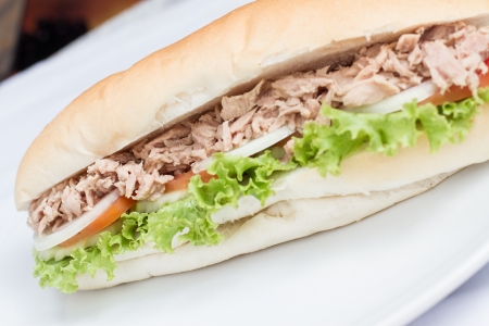 tuna sandwich baguette with and vegetables home made on white dishの写真素材