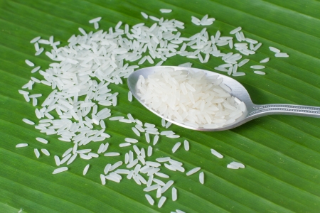 rice in spoon on banana leafの写真素材