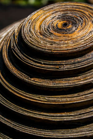 circle wood browの写真素材