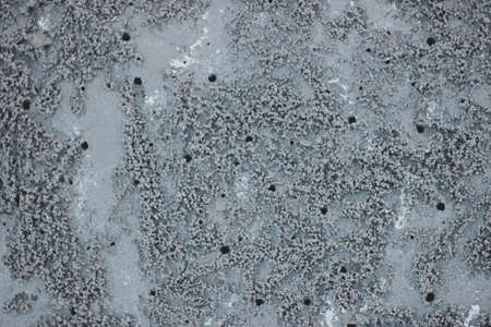rain drops on glass