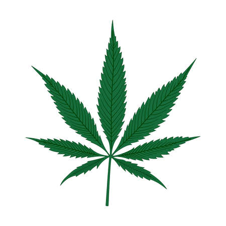 marijuana leave decorated. Design for Texture, website banner. isolated on white background. Vector illustration.のイラスト素材