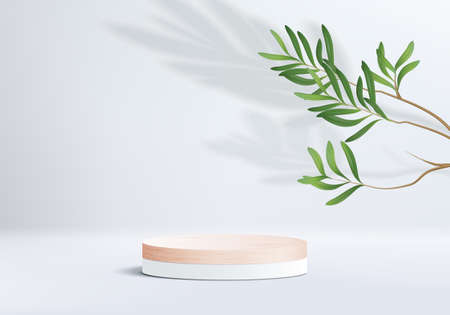 3d gray background product display wood podium with leaf geometric platform. grey background vector 3d render with podium. wood stand to show cosmetic product. Stage showcase on pedestal white displayのイラスト素材