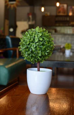 Artificial tree in white cupの写真素材