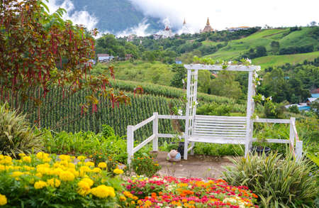 Flower garden with  Wat Pha Sorn Kaew temple in the backgroundの写真素材