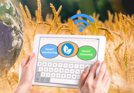 Smart farming, Hi-Tech Agriculture conceptの写真素材