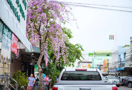 Roiet, Thailand - April 6, 2017 : Beautiful bright purple flowers, Lagerstroemia aka. Queen of  flower at footpath in the townのeditorial素材