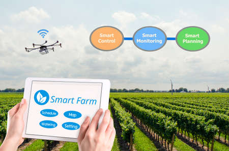 Smart farming, Hi-Tech Agriculture conceptual picture