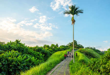 Campuhan Ridge Walk at Sunset , Scenic Green Valley in Ubud Baliの写真素材