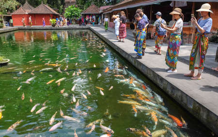 Tourists watching Koi fishes in pool at Pura Tirta Empul Templeのeditorial素材