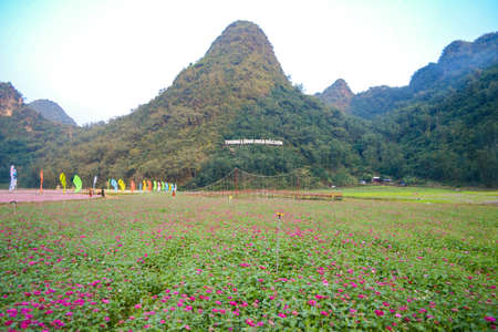 Bac Son Flower Valley or Thung Lung Hoa Bac son in Vietnamese, Lang Son, Vietnam