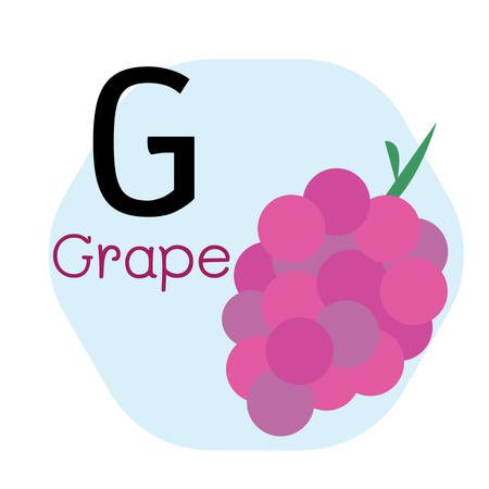 G for Grape alphabet, Cute Simple flat cartoon style vector illustrationのイラスト素材