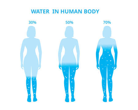 Water in the human body. Female, Difference percentage . Vector Illustrationのイラスト素材