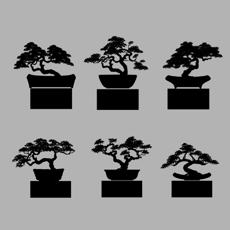 Bonsai tree. Black silhouette of bonsai. Detailed image. Vector illustrationのイラスト素材