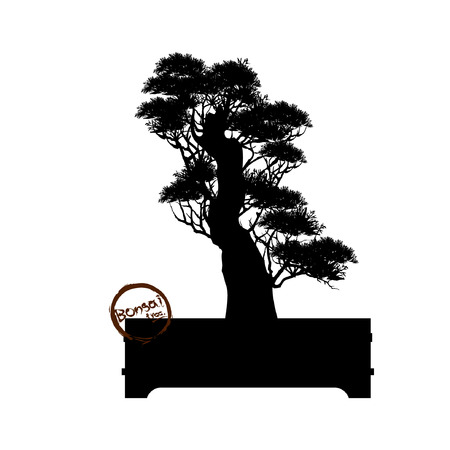 Japanese hawthorn bonsai in bloom  Black silhouette of bonsai. Detailed image. Vector illustrationのイラスト素材