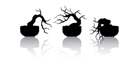 Japanese bonsai tree , plant silhouette icons on white background, Black silhouette of bonsai. Detailed image. Vectorのイラスト素材