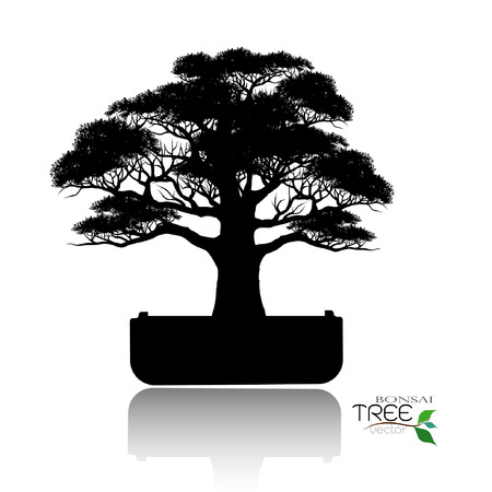 Japanese hawthorn bonsai in bloom, Black silhouette of bonsai. Detailed image. Vector illustration.のイラスト素材