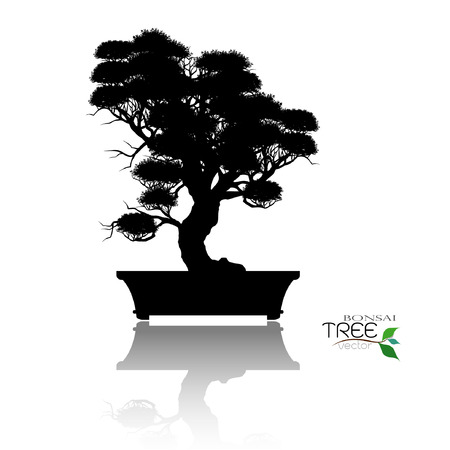 Japanese hawthorn bonsai in bloom, Black silhouette of bonsai. Detailed image. Vector illustration.のイラスト素材