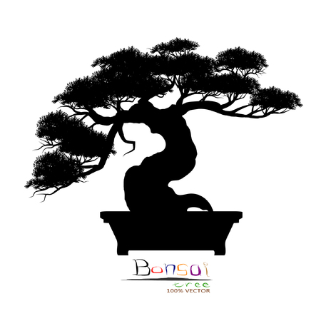Japanese bonsai tree, plant silhouette icon   on white background, Black silhouette of bonsai. Vector illustration.のイラスト素材