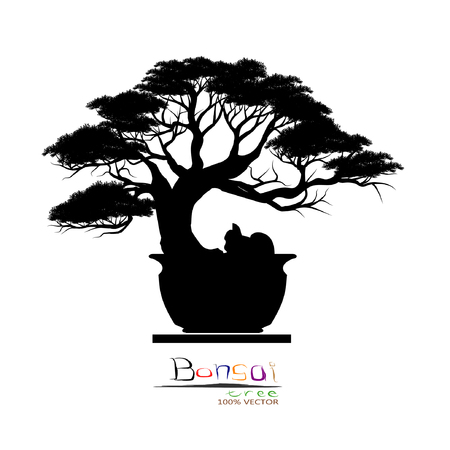 Japanese bonsai tree, plant silhouette icon   on white background, Black silhouette of bonsai. Vector illustration.のイラスト素材