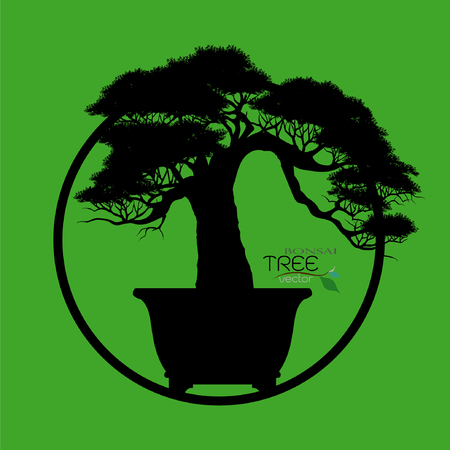 Vector of Bonsai tree.のイラスト素材