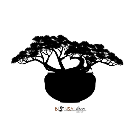Japanese hawthorn bonsai, silhouette of bonsai. Detailed image, Mini tree, Vector illustration. Dwarf trees for design and website. Mini tree in pot.のイラスト素材
