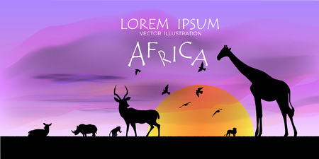 View of natural scenery, Beautiful Sky background, vector of realistic landscape for web. Black silhouette of animals, trees and natural on a colorful background. Illustration.African Wildlife Background. Natural Background. African savanna landscape. safari card. vector.のイラスト素材