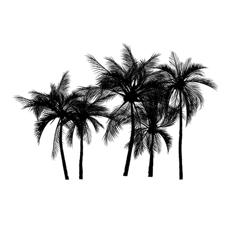 vector of palm tree silhouette icons on white background, coconut tree flat icon for vacation apps and websites.のイラスト素材
