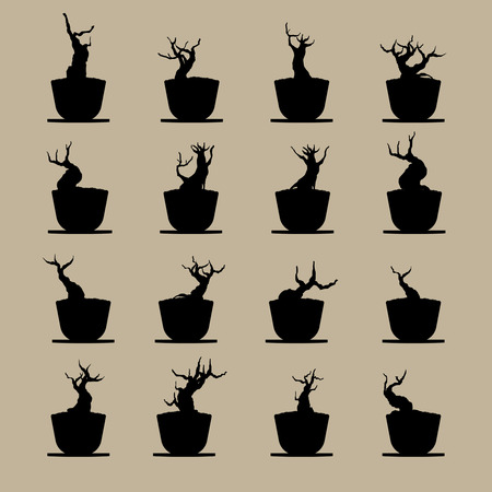 branches and shadows of bonsai tree.  plant silhouette icons on background.のイラスト素材