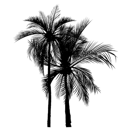 vector of palm tree silhouette icons on white background, coconut tree flat icon for vacation apps and websites.のイラスト素材