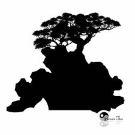 Japanese bonsai tree and stone , Black silhouette of bonsai. Detailed image. Vectorのイラスト素材