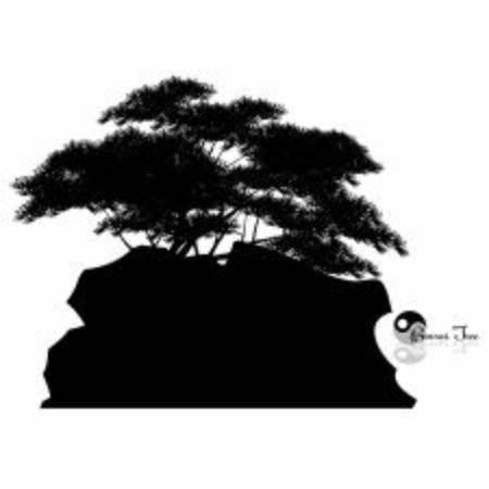 Japanese bonsai tree and stone , Black silhouette of bonsai. Detailed image. Vectorのイラスト素材
