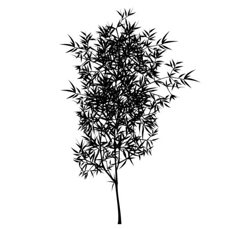 Seamless pattern in black and white of the bamboo tree, Vector illustration of bamboo, design of Chinese and Japanese trees,  Monochrome trees wallpaper for cards and web.のイラスト素材
