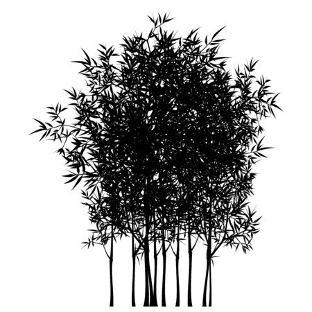 Seamless pattern in black and white of the bamboo tree, Vector illustration of bamboo, design of Chinese and Japanese trees,  Monochrome trees wallpaper for cards and web.のイラスト素材